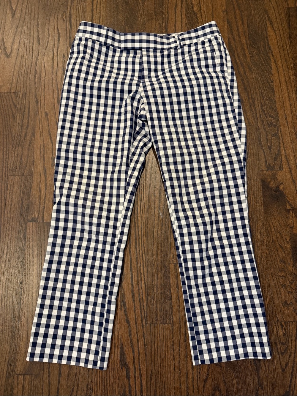 Banana Republic Navy & White Gingham Pants